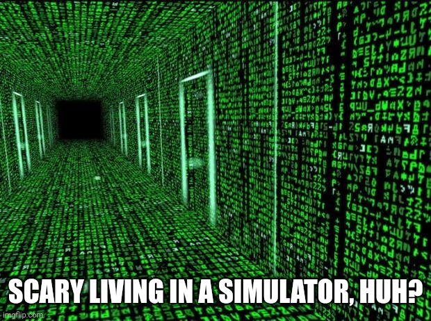 Matrix hallway code | SCARY LIVING IN A SIMULATOR, HUH? | image tagged in matrix hallway code | made w/ Imgflip meme maker