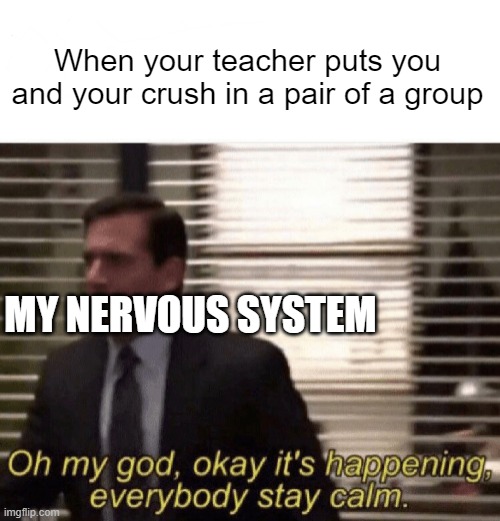 Well, it doesn't happen to me and I don't have one. |  When your teacher puts you and your crush in a pair of a group; MY NERVOUS SYSTEM | image tagged in oh my god okay it's happening everybody stay calm | made w/ Imgflip meme maker