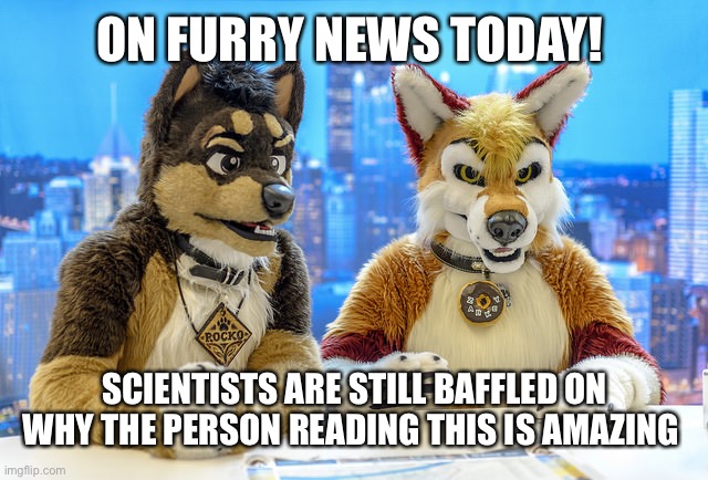 It's baffling… (mod note: Much better)  | ON FURRY NEWS TODAY! SCIENTISTS ARE STILL BAFFLED ON WHY THE PERSON READING THIS IS AMAZING | image tagged in furry news,wholesome | made w/ Imgflip meme maker