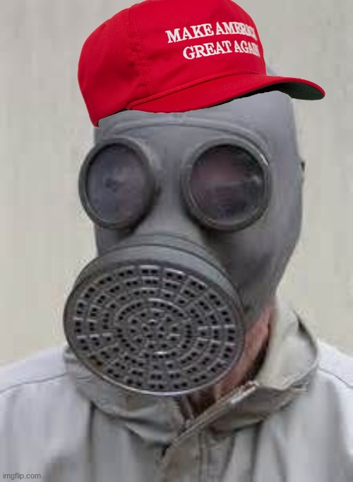 Gas mask | image tagged in gas mask | made w/ Imgflip meme maker