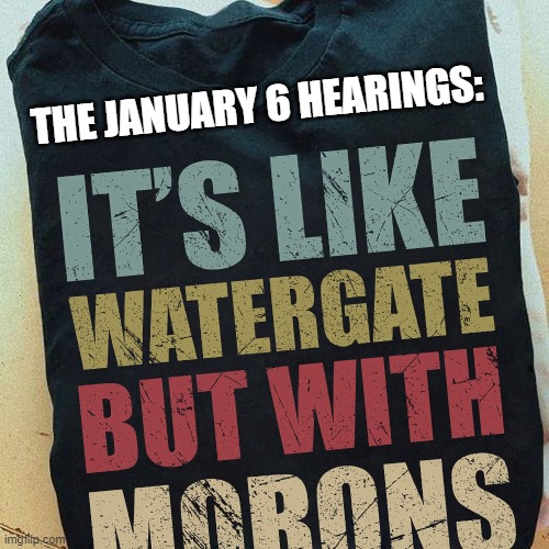 Morons | THE JANUARY 6 HEARINGS: | image tagged in it's like watergate but with morons,morons,idiots,biden | made w/ Imgflip meme maker