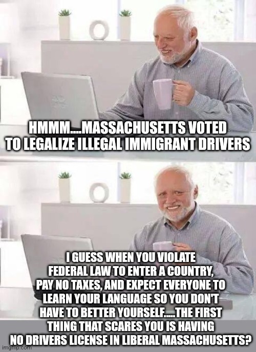 Illegal immigrants and legal drivers licenses... | HMMM....MASSACHUSETTS VOTED TO LEGALIZE ILLEGAL IMMIGRANT DRIVERS; I GUESS WHEN YOU VIOLATE FEDERAL LAW TO ENTER A COUNTRY, PAY NO TAXES, AND EXPECT EVERYONE TO LEARN YOUR LANGUAGE SO YOU DON'T HAVE TO BETTER YOURSELF.....THE FIRST THING THAT SCARES YOU IS HAVING NO DRIVERS LICENSE IN LIBERAL MASSACHUSETTS? | image tagged in memes,hide the pain harold,driving,illegal immigration,liberals,expectation vs reality | made w/ Imgflip meme maker