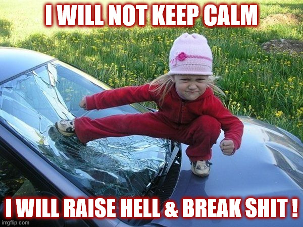 KEEP CALM?? | I WILL NOT KEEP CALM; I WILL RAISE HELL & BREAK SHIT ! | image tagged in keep calm,hell,break,shit,little girl,kick | made w/ Imgflip meme maker