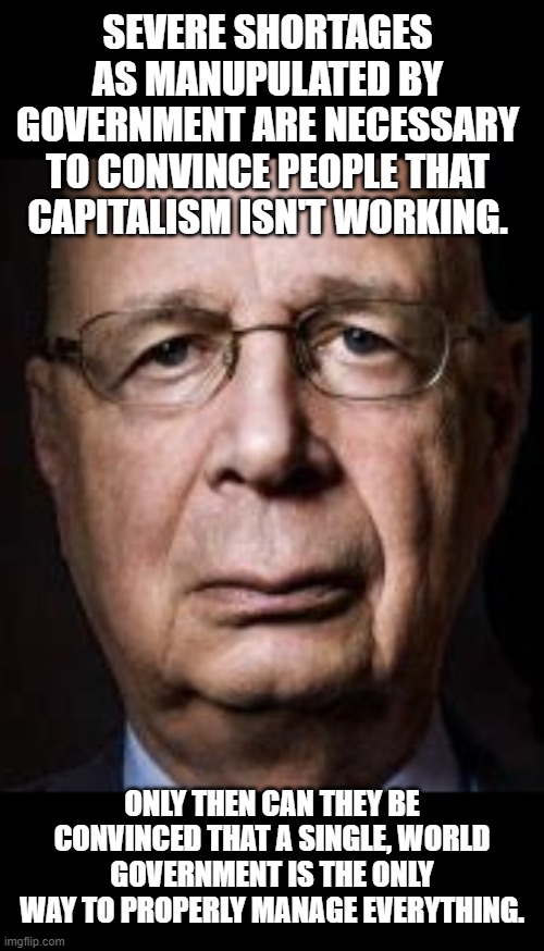 You will own NOTHING. | SEVERE SHORTAGES AS MANUPULATED BY GOVERNMENT ARE NECESSARY TO CONVINCE PEOPLE THAT CAPITALISM ISN'T WORKING. ONLY THEN CAN THEY BE CONVINCED THAT A SINGLE, WORLD GOVERNMENT IS THE ONLY WAY TO PROPERLY MANAGE EVERYTHING. | image tagged in klaus s | made w/ Imgflip meme maker
