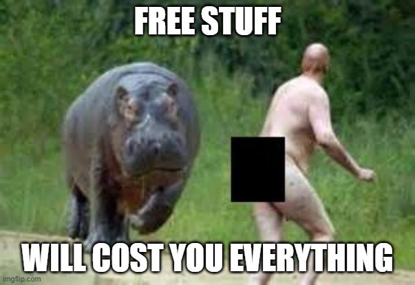 You will own nothing and be happy. We, your elite betters will own everything and we don't give a rat's rear end about you. | FREE STUFF; WILL COST YOU EVERYTHING | image tagged in hippo vs naked guy | made w/ Imgflip meme maker