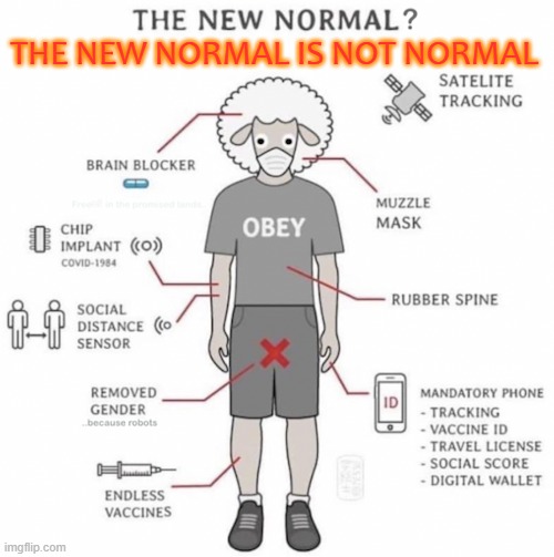 The NEW Normal Is NOT NORMAL | THE NEW NORMAL IS NOT NORMAL | image tagged in the new normal | made w/ Imgflip meme maker