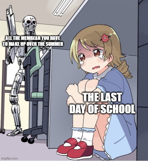 Anime Girl Hiding from Terminator | ALL THE MEMBEAN YOU HAVE TO MAKE UP OVER THE SUMMER; THE LAST DAY OF SCHOOL | image tagged in anime girl hiding from terminator | made w/ Imgflip meme maker