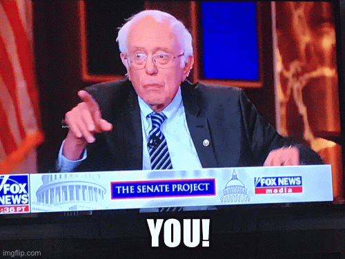 You | YOU! | image tagged in gifs,brett bear bernie sanders | made w/ Imgflip images-to-gif maker