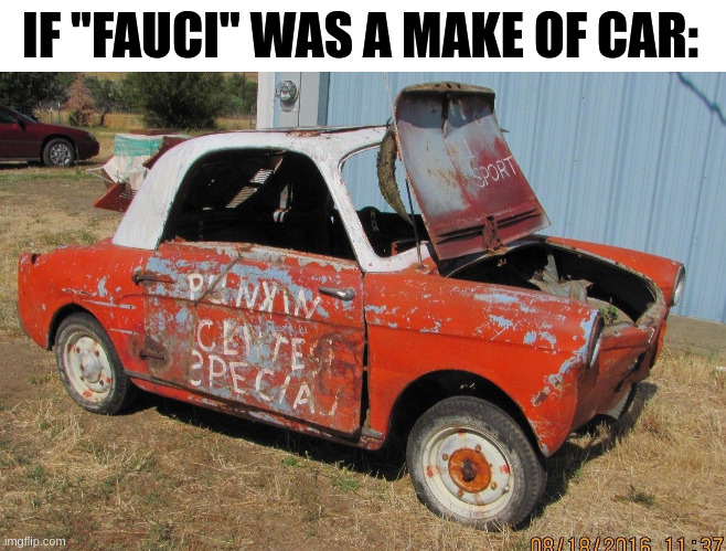 Fauci GT 0.2L | IF "FAUCI" WAS A MAKE OF CAR: | made w/ Imgflip meme maker