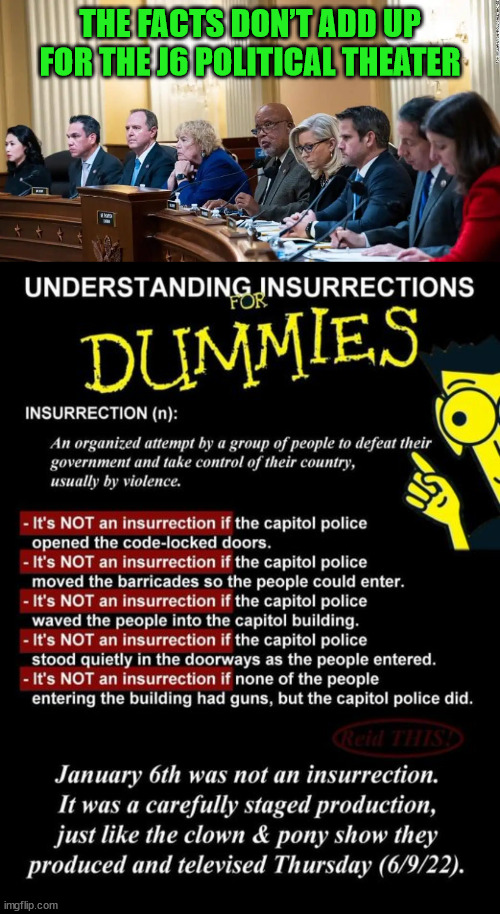 Nope... their insurrection facts don't add up | THE FACTS DON’T ADD UP FOR THE J6 POLITICAL THEATER | image tagged in show,trial,stupid liberals | made w/ Imgflip meme maker