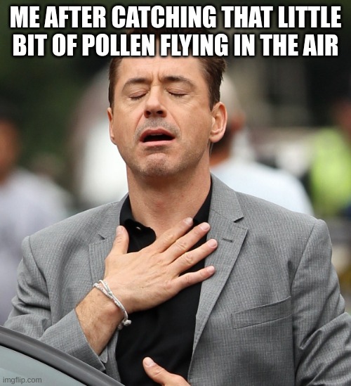 relieved rdj | ME AFTER CATCHING THAT LITTLE BIT OF POLLEN FLYING IN THE AIR | image tagged in relieved rdj | made w/ Imgflip meme maker