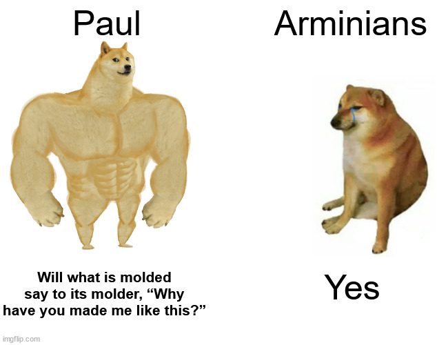 Still not trying to offend anyone. It's still just a joke. | Paul; Arminians; Will what is molded say to its molder, “Why have you made me like this?”; Yes | image tagged in memes,buff doge vs cheems | made w/ Imgflip meme maker