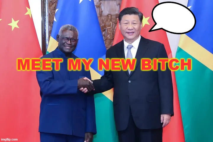 meet my new bitch | MEET MY NEW BITCH | image tagged in thin red line | made w/ Imgflip meme maker