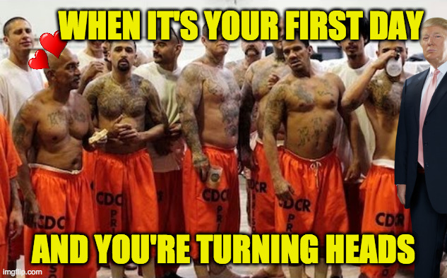 First day. | WHEN IT'S YOUR FIRST DAY; AND YOU'RE TURNING HEADS | image tagged in memes,prisoner of love,inmate pose,trump | made w/ Imgflip meme maker