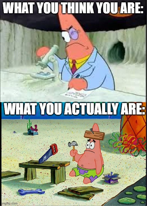 PAtrick, Smart Dumb | WHAT YOU THINK YOU ARE: WHAT YOU ACTUALLY ARE: | image tagged in patrick smart dumb | made w/ Imgflip meme maker