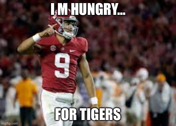 I M HUNGRY…; FOR TIGERS | image tagged in bryce young | made w/ Imgflip meme maker