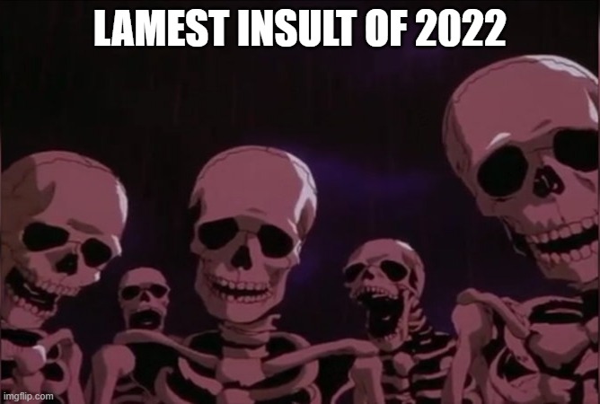 Berserk skeleton | LAMEST INSULT OF 2022 | image tagged in berserk skeleton | made w/ Imgflip meme maker
