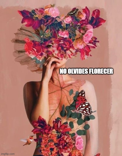 florece | NO OLVIDES FLORECER | image tagged in mujer | made w/ Imgflip meme maker
