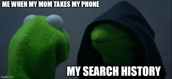 Evil Kermit Meme | ME WHEN MY MOM TAKES MY PHONE; MY SEARCH HISTORY | image tagged in memes,evil kermit | made w/ Imgflip meme maker