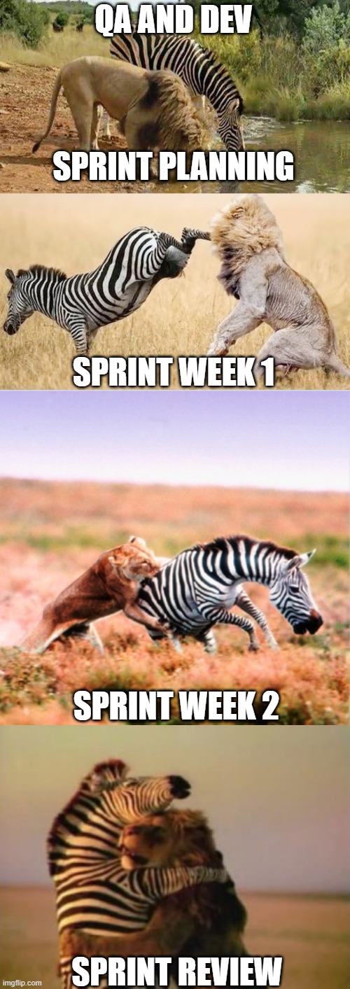 Sprint Lifecycle | QA AND DEV; SPRINT PLANNING; SPRINT WEEK 1; SPRINT WEEK 2; SPRINT REVIEW | image tagged in sprint,agile,programming | made w/ Imgflip meme maker