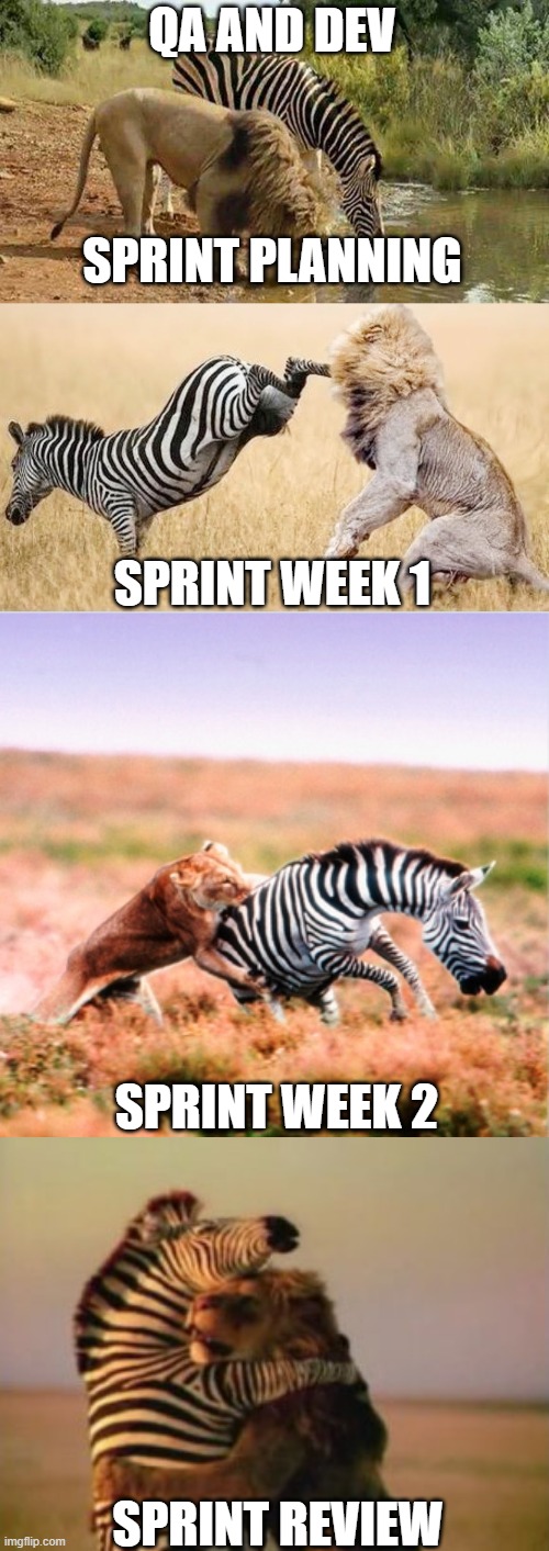 Sprint Lifecycle Imgflip
