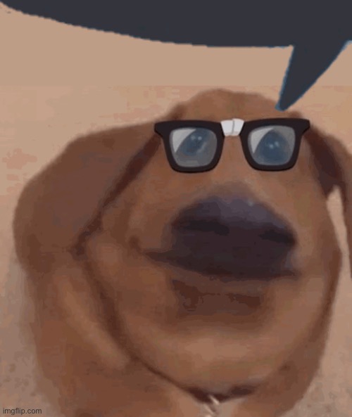 Nerd dogge | image tagged in nerd dogge | made w/ Imgflip meme maker