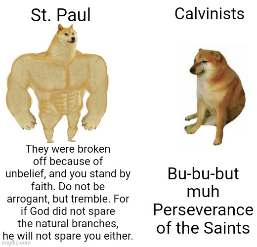Like CULE_DOOD, I'm not trying to offend anyone. Just some lighthearted back-and-forth. | Calvinists; St. Paul; They were broken off because of unbelief, and you stand by faith. Do not be arrogant, but tremble. For if God did not spare the natural branches, he will not spare you either. Bu-bu-but muh Perseverance of the Saints | image tagged in memes,buff doge vs cheems,arminian,calvinism,christian | made w/ Imgflip meme maker