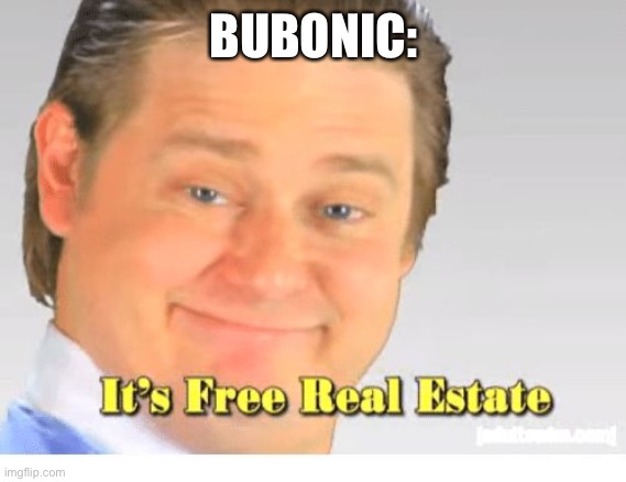 It's Free Real Estate | BUBONIC: | image tagged in it's free real estate | made w/ Imgflip meme maker