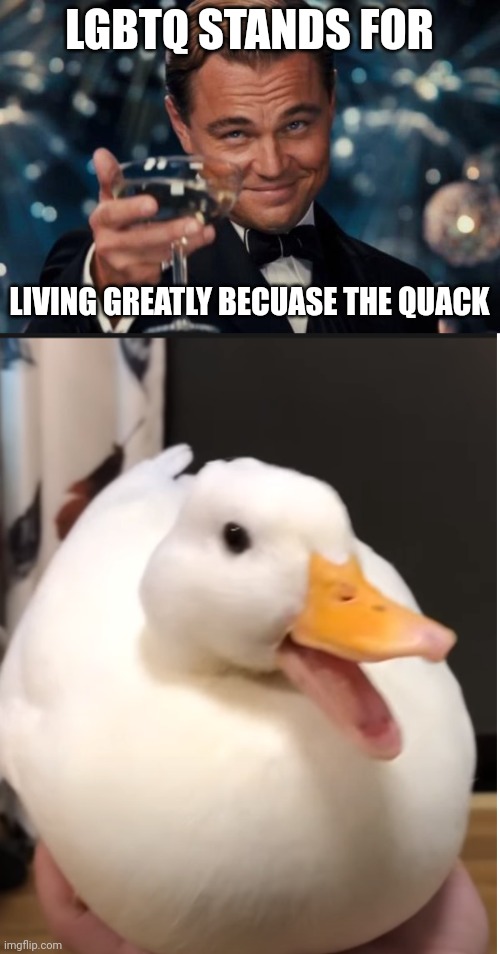 LGBTQ STANDS FOR; LIVING GREATLY BECUASE THE QUACK | image tagged in memes,leonardo dicaprio cheers,duck happy | made w/ Imgflip meme maker