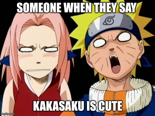 SOMEONE WHEN THEY SAY; KAKASAKU IS CUTE | image tagged in anime meme | made w/ Imgflip meme maker