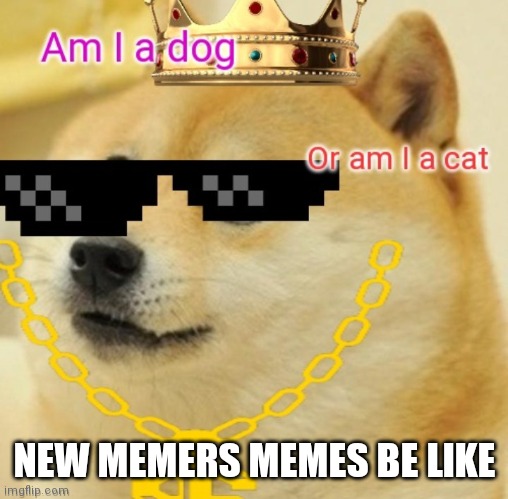 New memers memes | NEW MEMERS MEMES BE LIKE | image tagged in doge,new meme | made w/ Imgflip meme maker