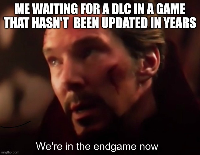 Meme | ME WAITING FOR A DLC IN A GAME THAT HASN'T  BEEN UPDATED IN YEARS | image tagged in we're in endgame now,meme | made w/ Imgflip meme maker