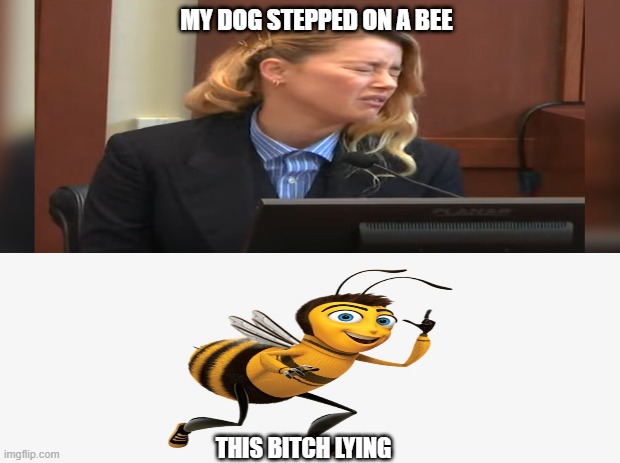 bitch lying | MY DOG STEPPED ON A BEE; THIS BITCH LYING | image tagged in amber turd | made w/ Imgflip meme maker