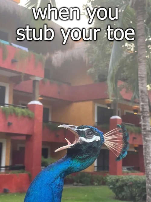 when you stub your toe | image tagged in stub | made w/ Imgflip meme maker