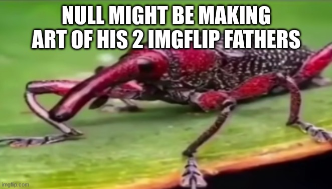 weevil | NULL MIGHT BE MAKING ART OF HIS 2 IMGFLIP FATHERS | image tagged in weevil | made w/ Imgflip meme maker