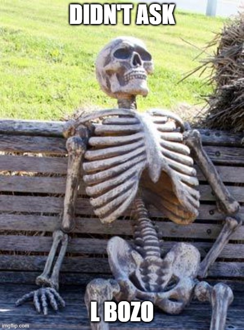 Waiting Skeleton Meme | DIDN'T ASK; L BOZO | image tagged in memes,waiting skeleton | made w/ Imgflip meme maker