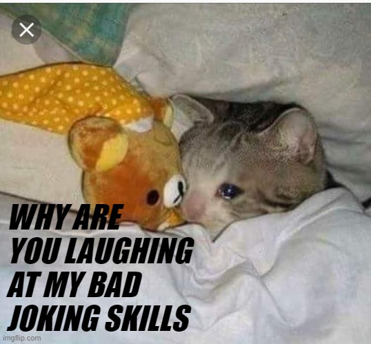 WHY ARE YOU LAUGHING AT MY BAD JOKING SKILLS | made w/ Imgflip meme maker