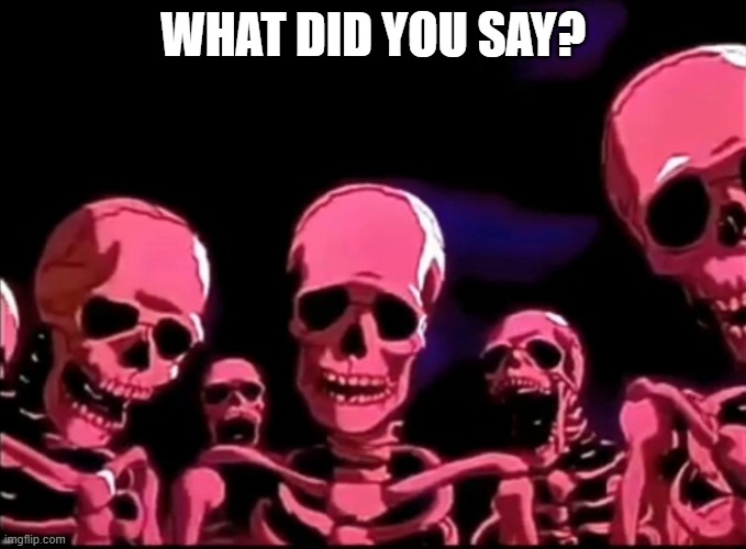 WHAT DID YOU SAY? | image tagged in skeletons roasting | made w/ Imgflip meme maker