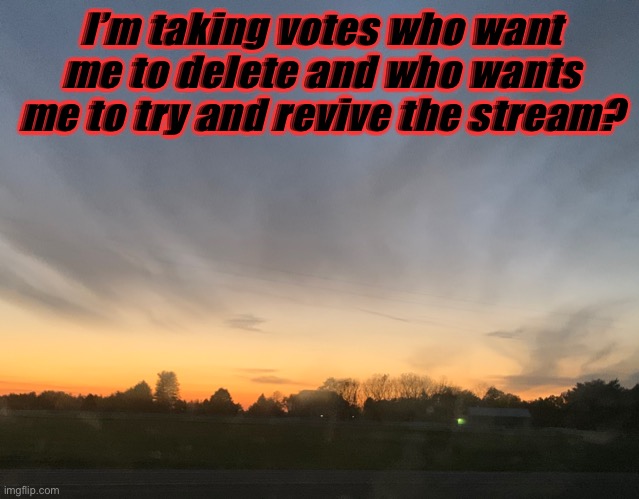 I’m taking votes who want me to delete and who wants me to try and revive the stream? | made w/ Imgflip meme maker