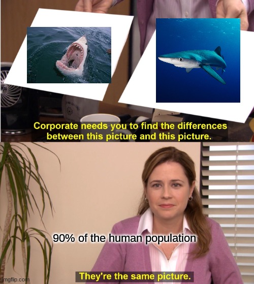 They're The Same Picture | 90% of the human population | image tagged in memes,they're the same picture | made w/ Imgflip meme maker