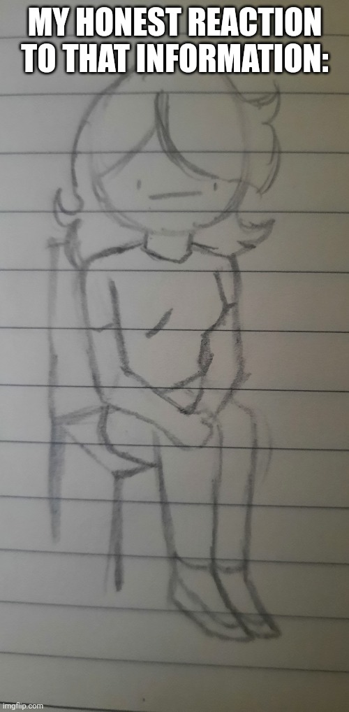 Jemy sitting | MY HONEST REACTION TO THAT INFORMATION: | image tagged in jemy sitting | made w/ Imgflip meme maker