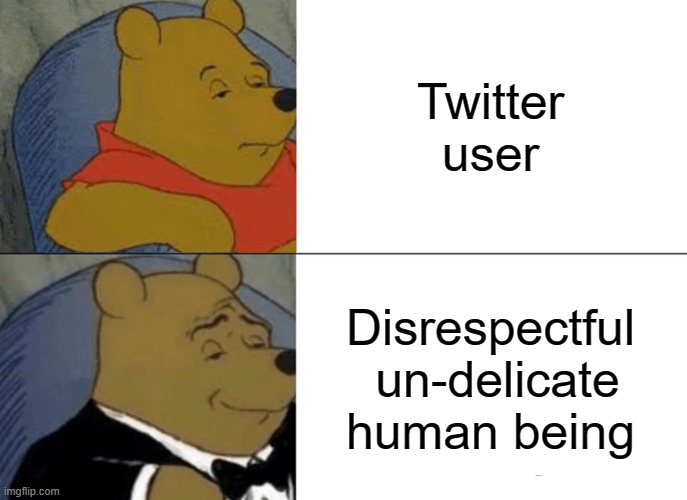 Tuxedo Winnie The Pooh | Twitter user; Disrespectful  un-delicate human being | image tagged in memes,tuxedo winnie the pooh | made w/ Imgflip meme maker