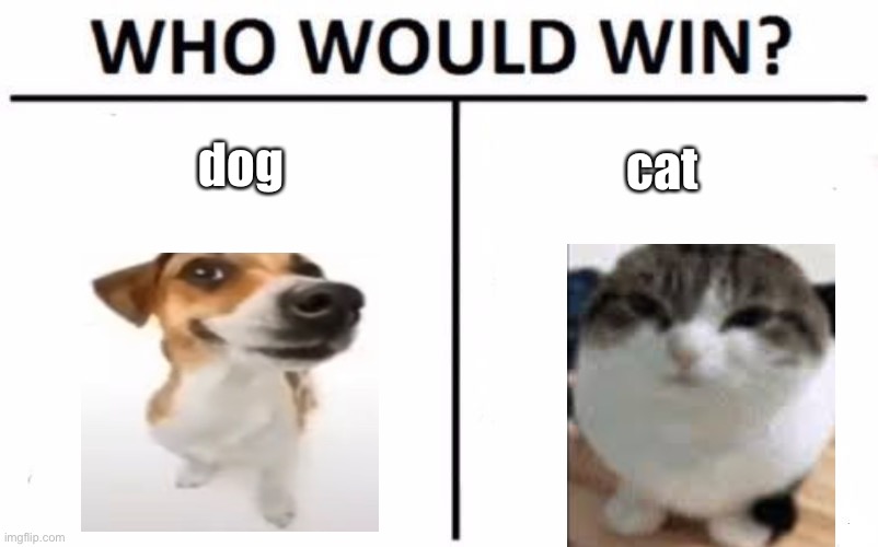 dog vs cat | dog; cat | image tagged in memes,who would win | made w/ Imgflip meme maker
