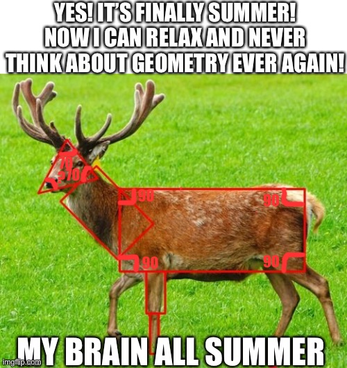 I wish my brain would just take a break | YES! IT’S FINALLY SUMMER! NOW I CAN RELAX AND NEVER THINK ABOUT GEOMETRY EVER AGAIN! 70; 70; ? 90; 90; 90; 90; MY BRAIN ALL SUMMER | image tagged in geometry,deer,summer | made w/ Imgflip meme maker