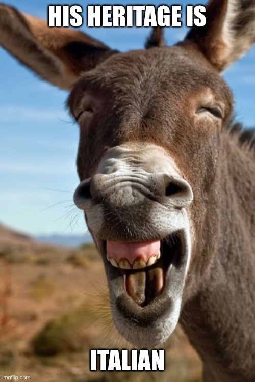Laughing donkey | HIS HERITAGE IS ITALIAN | image tagged in laughing donkey | made w/ Imgflip meme maker
