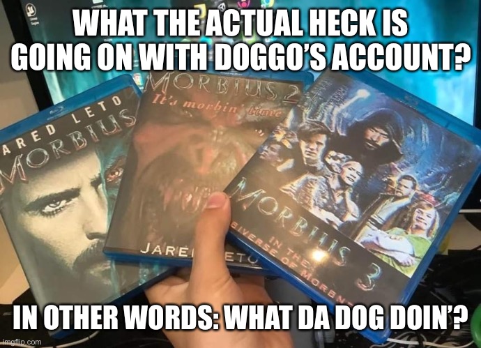 What did he do? | WHAT THE ACTUAL HECK IS GOING ON WITH DOGGO’S ACCOUNT? IN OTHER WORDS: WHAT DA DOG DOIN’? | made w/ Imgflip meme maker