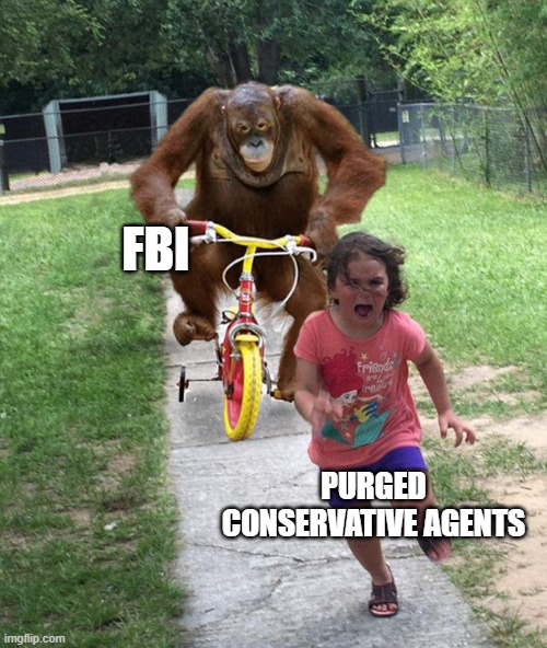 A progressive national police | FBI; PURGED CONSERVATIVE AGENTS | image tagged in orangutan chasing girl on a tricycle | made w/ Imgflip meme maker