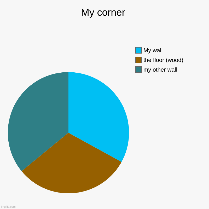 corner | My corner | my other wall, the floor (wood), My wall | image tagged in charts,pie charts | made w/ Imgflip chart maker