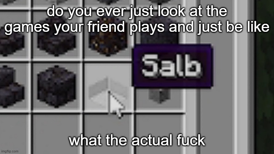 Salb | do you ever just look at the games your friend plays and just be like; what the actual fuck | image tagged in salb | made w/ Imgflip meme maker