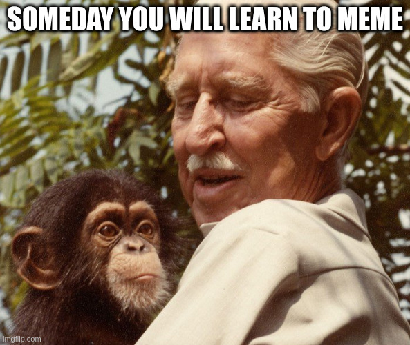 still a chimp | SOMEDAY YOU WILL LEARN TO MEME | image tagged in cornelius | made w/ Imgflip meme maker